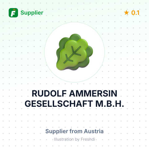 RUDOLF AMMERSIN GESELLSCHAFT M.B.H. – summary card, no photo uploaded yet
