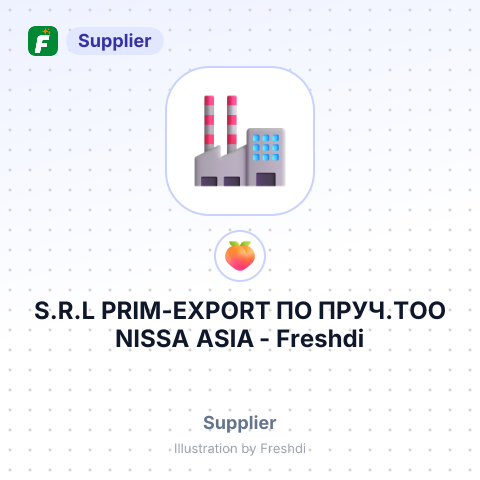 S.R.L PRIM-EXРОRТ ПО ПРУЧ.ТОО NISSA ASIA – summary card, no photo uploaded yet