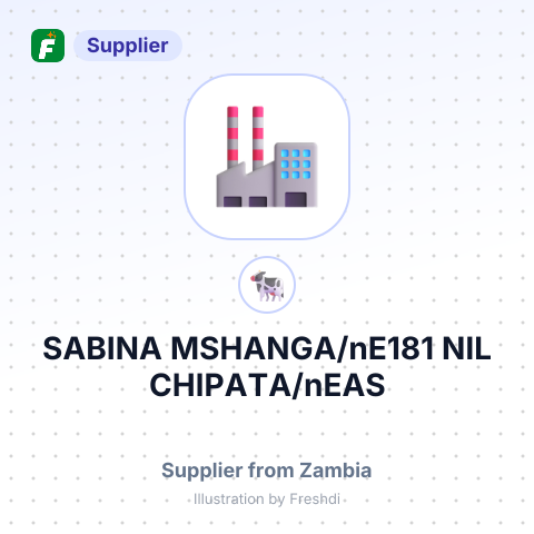 SABINA MSHANGA/nE181 NIL CHIPATA/nEAS – summary card, no photo uploaded yet