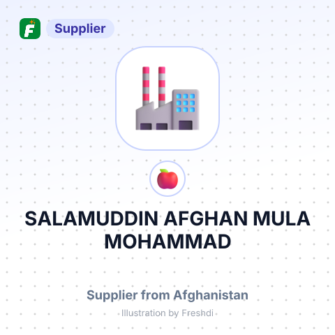 SALAMUDDIN AFGHAN MULA MOHAMMAD – summary card, no photo uploaded yet