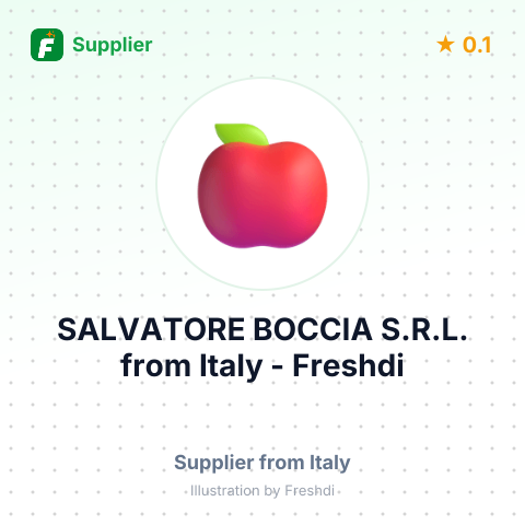 SALVATORE BOCCIA S.R.L. – summary card, no photo uploaded yet