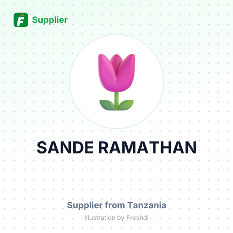 SANDE RAMATHAN – summary card, no photo uploaded yet
