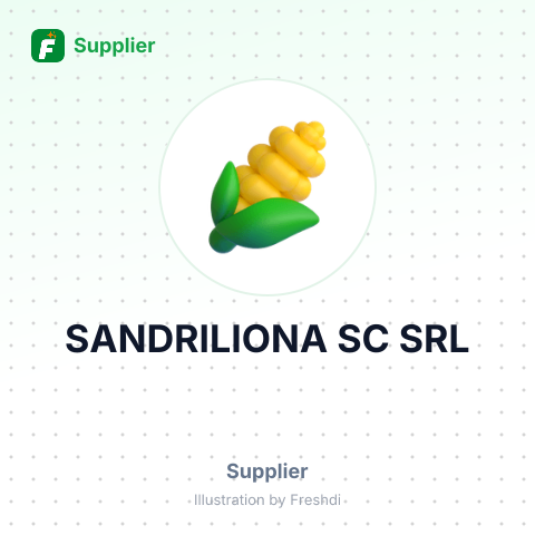 SANDRILIONA SC SRL – summary card, no photo uploaded yet