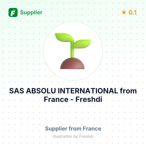 SAS ABSOLU INTERNATIONAL – summary card, no photo uploaded yet