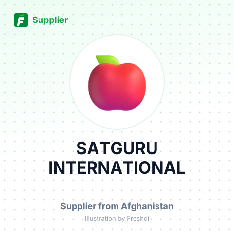 SATGURU INTERNATIONAL – summary card, no photo uploaded yet