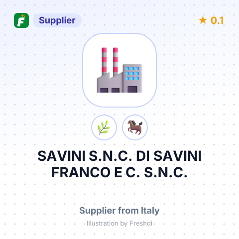SAVINI S.N.C. DI SAVINI FRANCO E C. S.N.C. – summary card, no photo uploaded yet