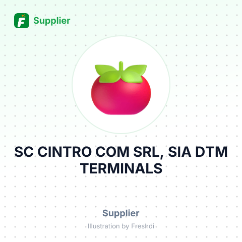 SC CINTRO COM SRL, SIA DTM TERMINALS – summary card, no photo uploaded yet