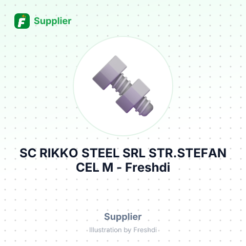 SC RIKKO STEEL SRL STR.STEFAN CEL M – summary card, no photo uploaded yet