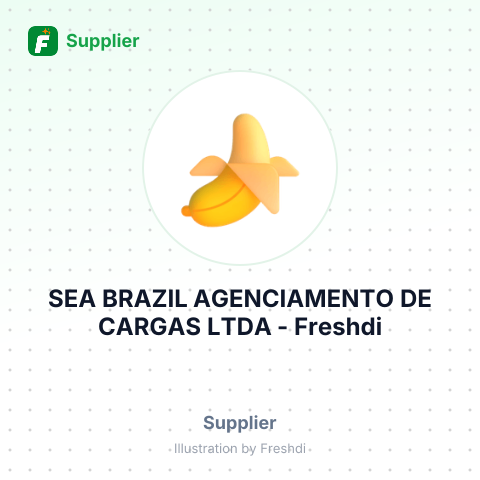 SEA BRAZIL AGENCIAMENTO DE CARGAS LTDA – summary card, no photo uploaded yet