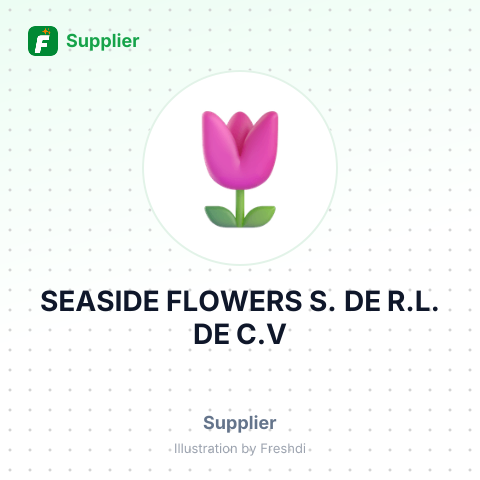 SEASIDE FLOWERS S. DE R.L. DE C.V – summary card, no photo uploaded yet
