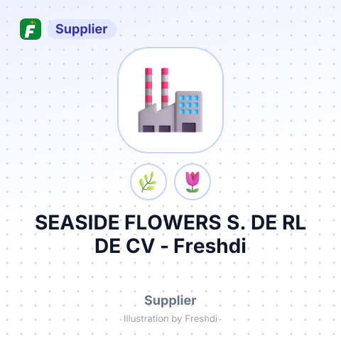 SEASIDE FLOWERS S. DE RL DE CV – summary card, no photo uploaded yet