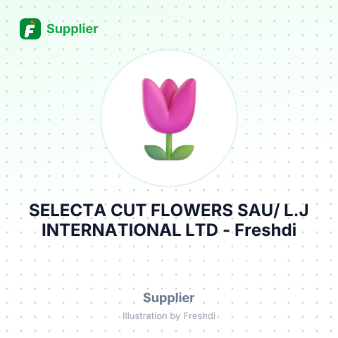SELECTA CUT FLOWERS SAU/ L.J INTERNATIONAL LTD – summary card, no photo uploaded yet