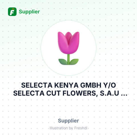 SELECTA KENYA GMBH Y/O SELECTA CUT FLOWERS, S.A.U – summary card, no photo uploaded yet