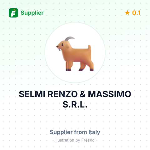 SELMI RENZO & MASSIMO S.R.L. – summary card, no photo uploaded yet