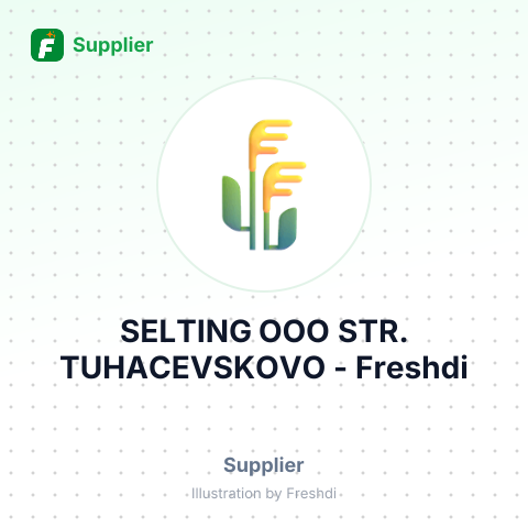 SELTING OOO STR. TUHACEVSKOVO – summary card, no photo uploaded yet