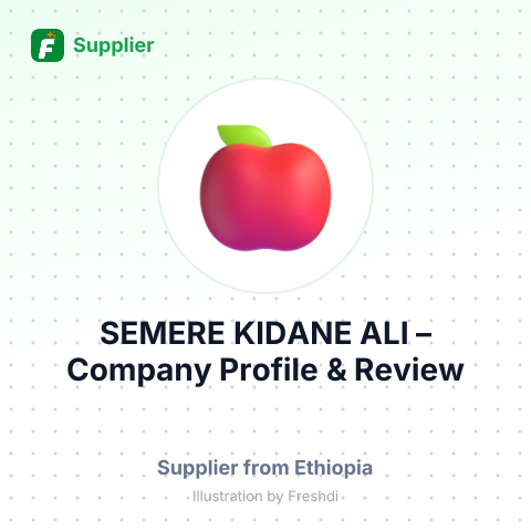 SEMERE KIDANE ALI – summary card, no photo uploaded yet