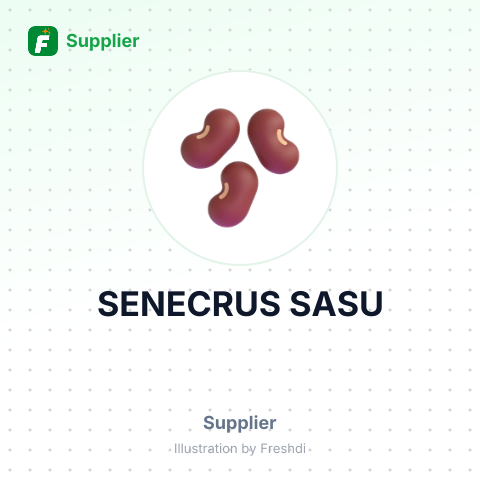 SENECRUS SASU – summary card, no photo uploaded yet