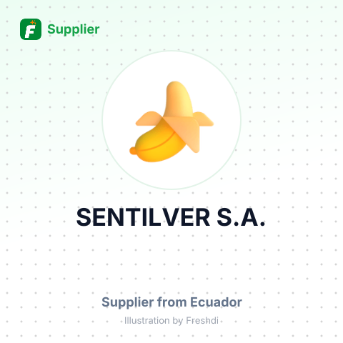 SENTILVER S.A. – summary card, no photo uploaded yet