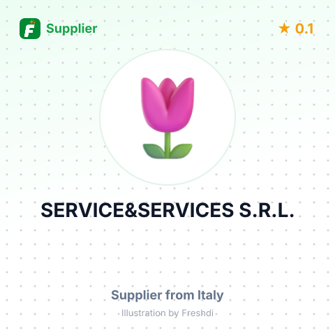 SERVICE&SERVICES S.R.L. – summary card, no photo uploaded yet