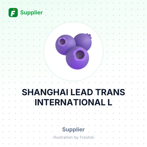 SHANGHAI LEAD TRANS INTERNATIONAL L – summary card, no photo uploaded yet