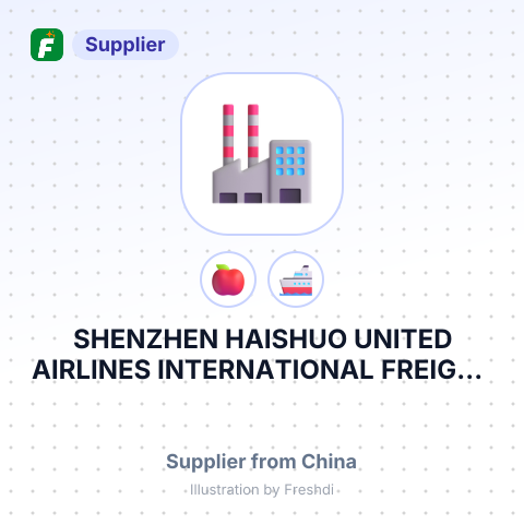 SHENZHEN HAISHUO UNITED AIRLINES INTERNATIONAL FREIGHT FORWARDING CO., LIMITED – summary card, no photo uploaded yet