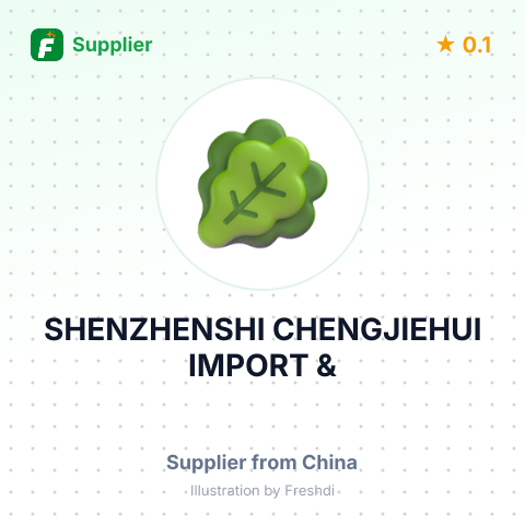 SHENZHENSHI CHENGJIEHUI IMPORT & – summary card, no photo uploaded yet