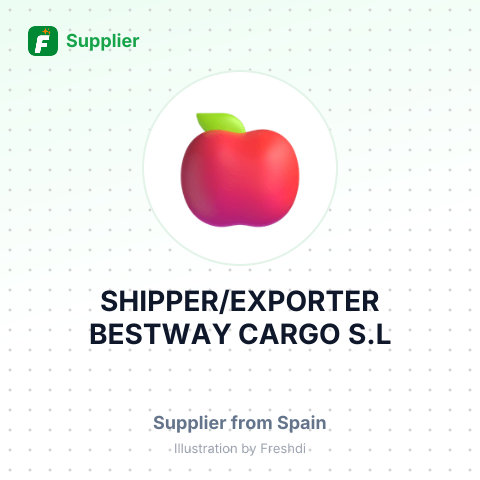 SHIPPER/EXPORTER BESTWAY CARGO, S.L – summary card, no photo uploaded yet