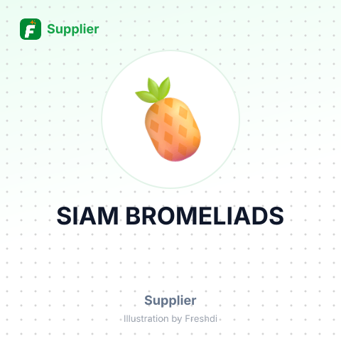 SIAM BROMELIADS – summary card, no photo uploaded yet