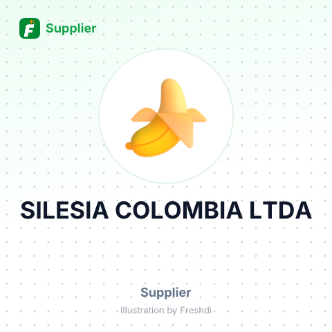 SILESIA COLOMBIA LTDA – summary card, no photo uploaded yet