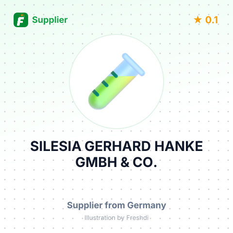SILESIA GERHARD HANKE GMBH & CO. – summary card, no photo uploaded yet