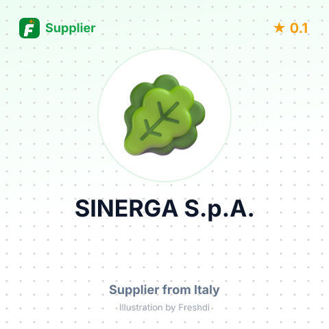SINERGA S.p.A. – summary card, no photo uploaded yet