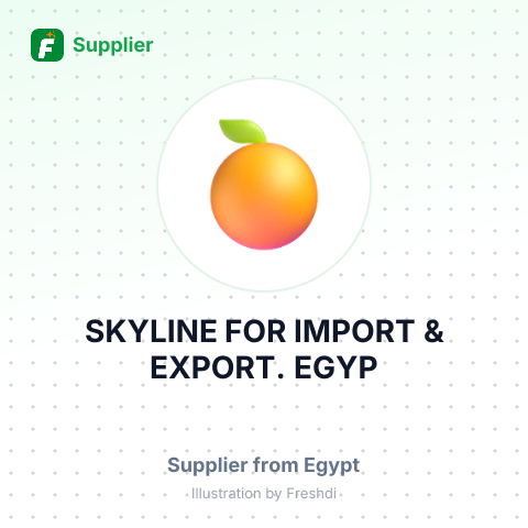 SKYLINE FOR IMPORT & EXPORT. EGYP – summary card, no photo uploaded yet