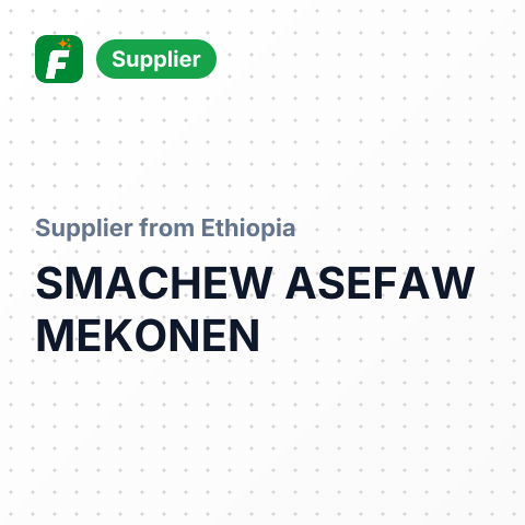 SMACHEW ASEFAW MEKONEN – summary card, no photo uploaded yet