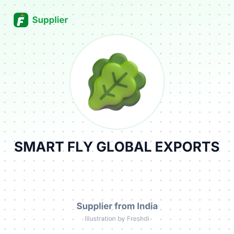 SMART FLY GLOBAL EXPORTS – summary card, no photo uploaded yet