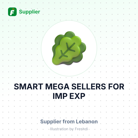SMART MEGA SELLERS FOR IMP EXP – summary card, no photo uploaded yet