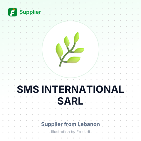 SMS INTERNATIONAL SARL – summary card, no photo uploaded yet