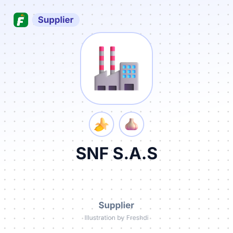 SNF S.A.S – summary card, no photo uploaded yet