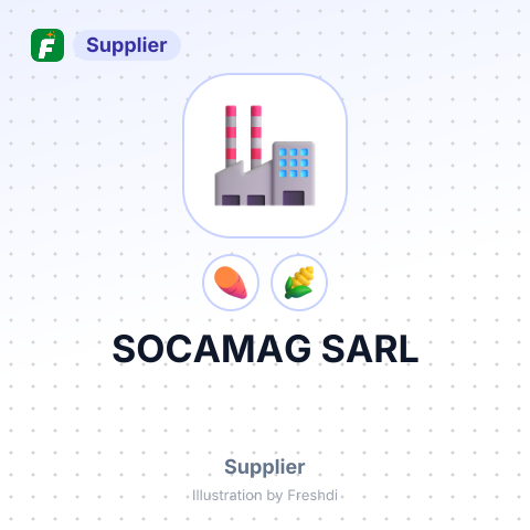 SOCAMAG SARL – summary card, no photo uploaded yet