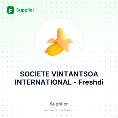 SOCIETE VINTANTSOA INTERNATIONAL – summary card, no photo uploaded yet