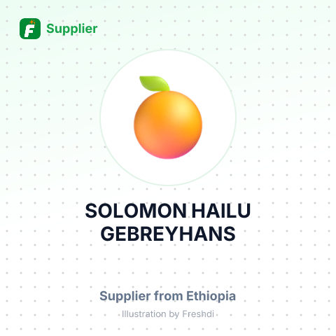 SOLOMON HAILU GEBREYHANS – summary card, no photo uploaded yet