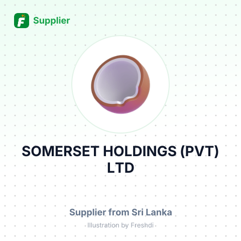 SOMERSET HOLDINGS (PVT) LTD – summary card, no photo uploaded yet