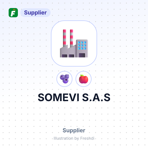 SOMEVI S.A.S – summary card, no photo uploaded yet