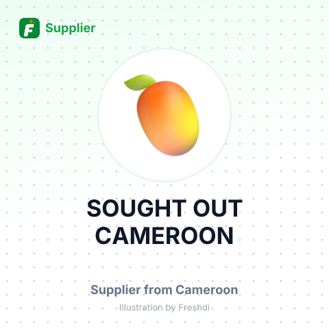 SOUGHT OUT CAMEROON – summary card, no photo uploaded yet