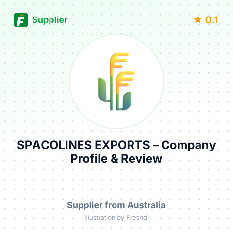 SPACOLINES EXPORTS – summary card, no photo uploaded yet