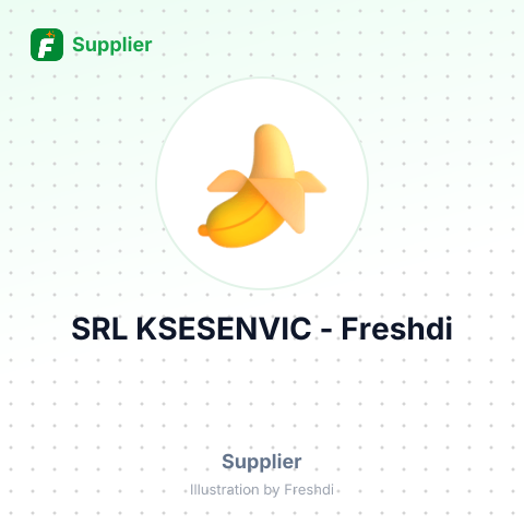 SRL KSESENVIC – summary card, no photo uploaded yet