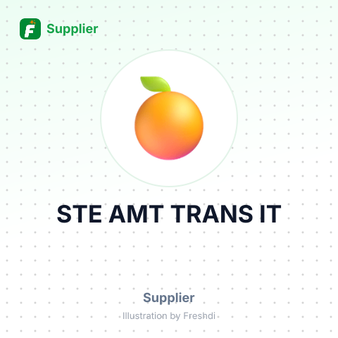 STE AMT TRANS IT – summary card, no photo uploaded yet