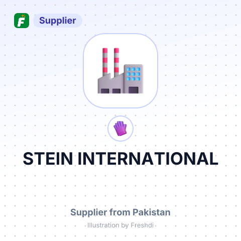 STEIN INTERNATIONAL – summary card, no photo uploaded yet