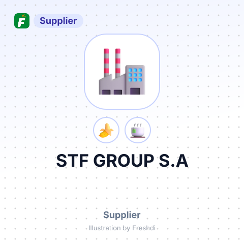 STF GROUP S.A – summary card, no photo uploaded yet