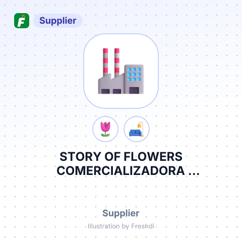 STORY OF FLOWERS COMERCIALIZADORA FLOWERSTORY S.A – summary card, no photo uploaded yet