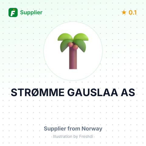 STRØMME GAUSLAA AS – summary card, no photo uploaded yet